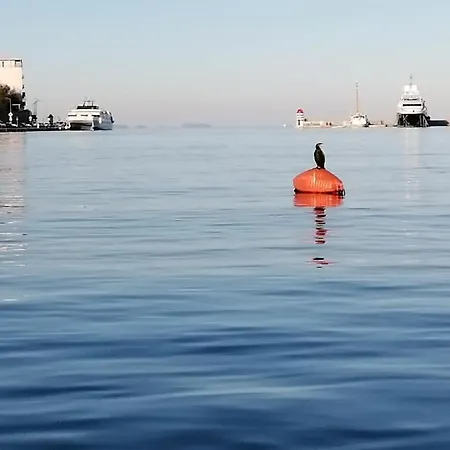 דירה Nora - Modern Cozy With Free Parking And Terrace