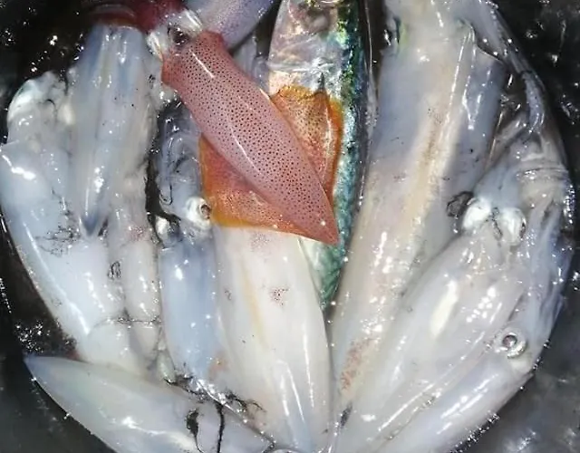 Apartament Nora - Modern Cozy With Free Parking And Terrace