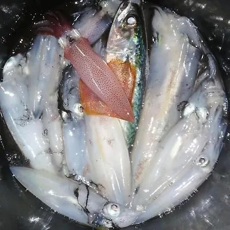 Appartement Nora - Modern Cozy With Free Parking And Terrace